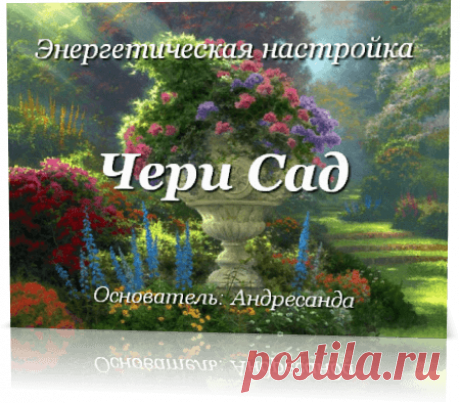 Энергия Чери Сад — Андресанда