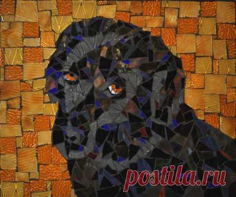 Pets | Stevo Mosaics