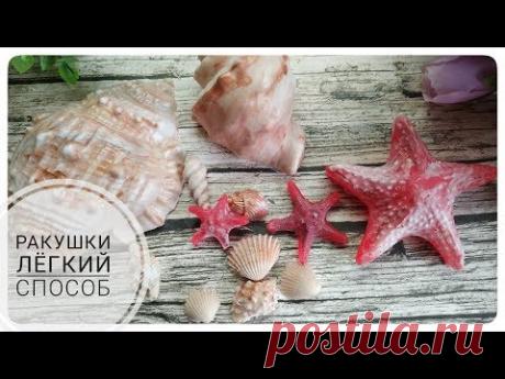 Мыловарение • Ракушки