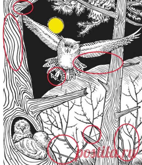 Чему равна сумма всех натуральных чисел: почему математики считают, что -1/12?