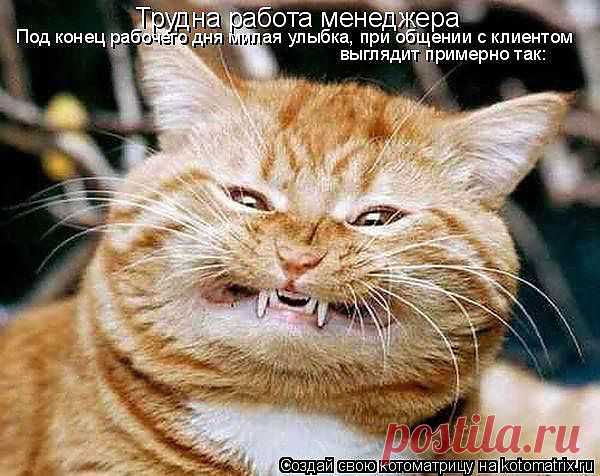 К вечеру зверею от такой работы!