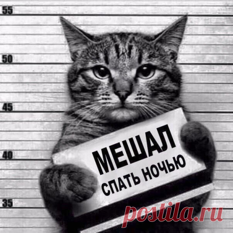 !!!)))