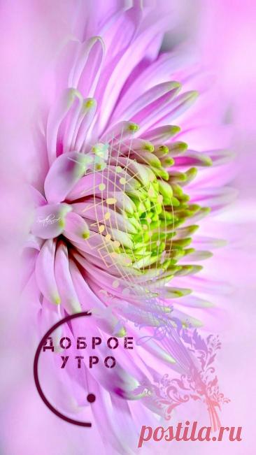С добрым утром