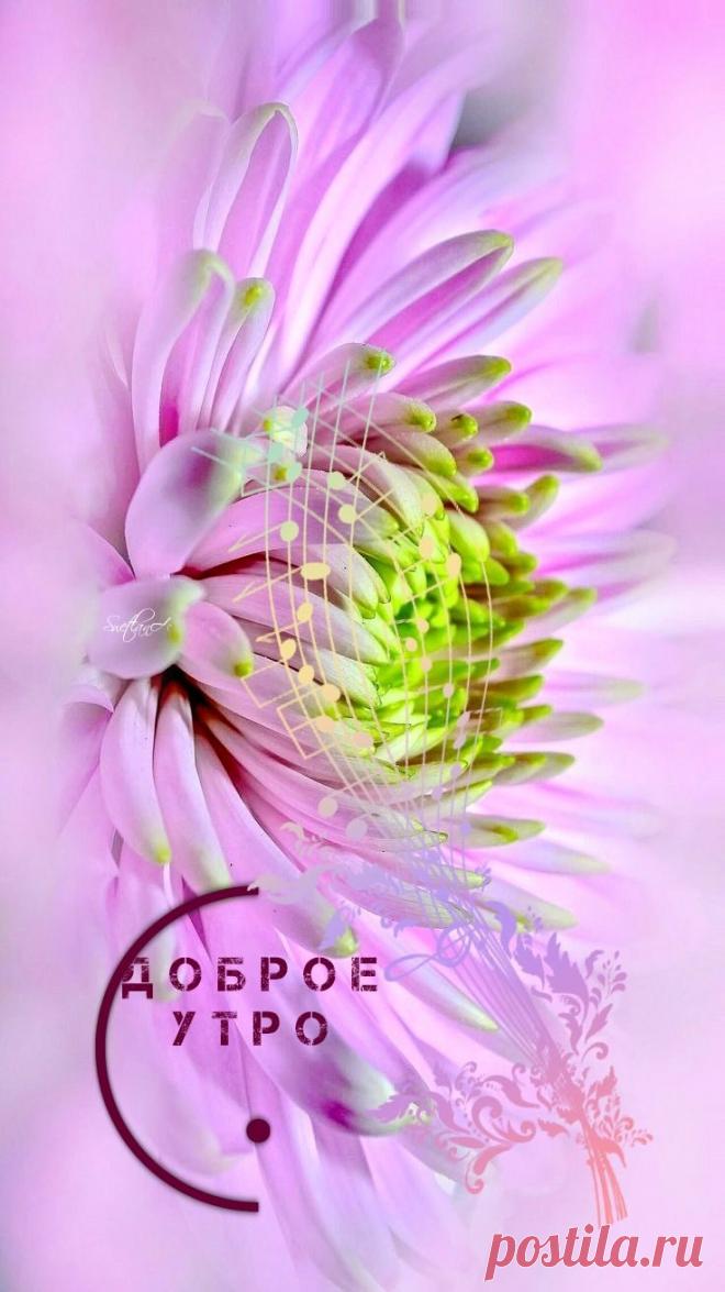 С добрым утром
