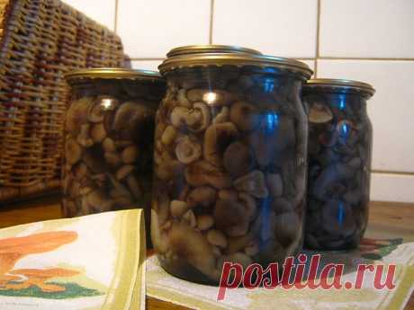 от Ларисы Гурьяновой