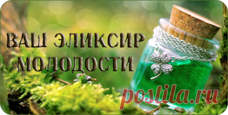 Эликсир молодости - рецепты Эликсир молодости - рецепты.

Каждому человеку хотя бы один раз в жизни приходила мысль об эликсире молодости, причем вечной. Волшебные зелья существуют только в сказках, но продлить молодость и улучш…
