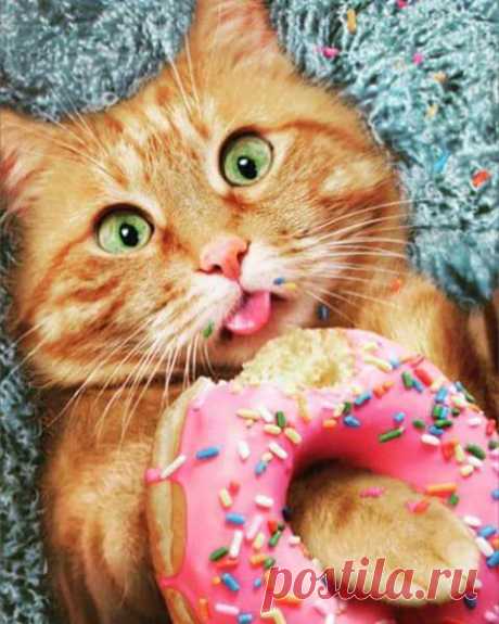 (1) Волки и Люди