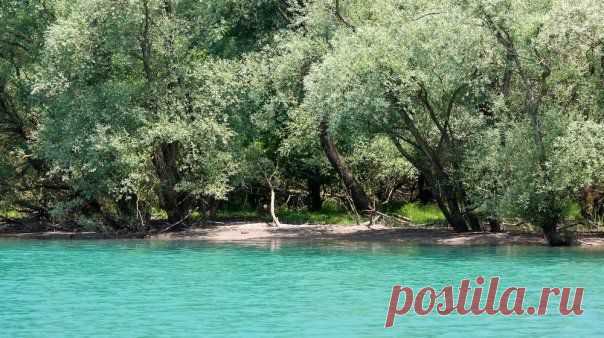 Momir Matkovic - Momir Matkovics Fotos | Facebook