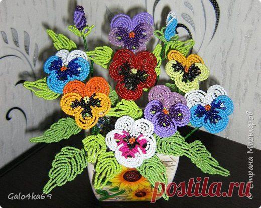 Анютины глазки или Виола МК | Страна Мастеров