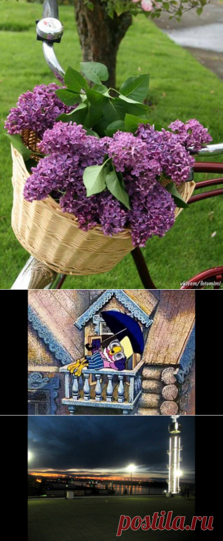 Светлана Болотова