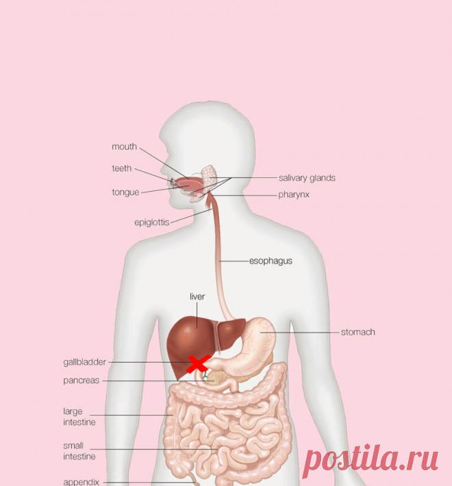 Что можно и что нельзя если нет желчного пузыря? Если вам удалили желчный пузырь, вы должны понимать — питание уже не может быть прежним, нужно будет соблюдать режимы принятия пищи постоянно.
