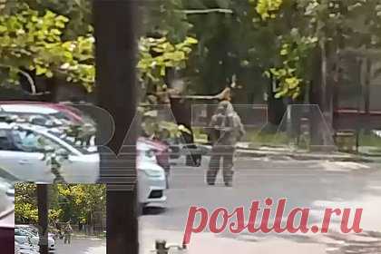 Работа саперов на месте минирования машины в Москве попала на видео