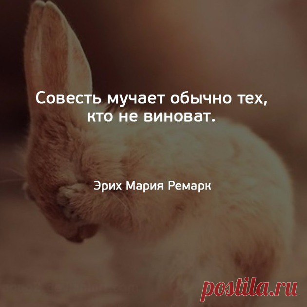 Забвение своих собственных прегрешений порождает бесстыдство. Демокрит