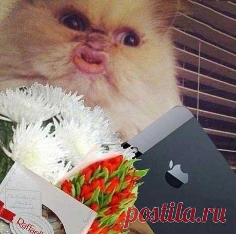 8 марта на всех аватарках страны: