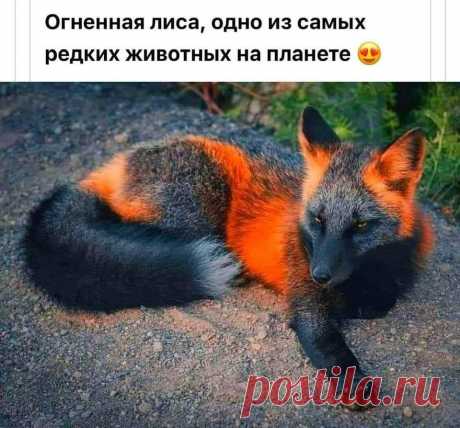 (9) Facebook