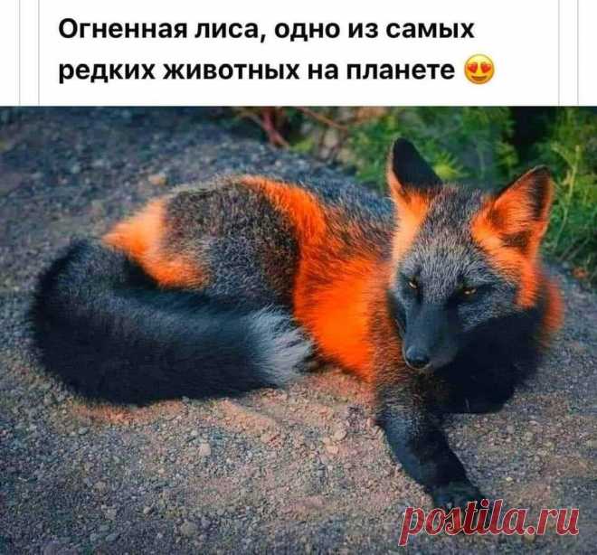 (9) Facebook