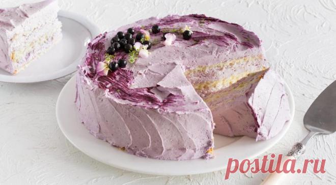 бисквит вашей мечты. 
Классический бисквит
Состоит только из яиц, сахара и муки. Пропорции могут колебаться в зависимости от предназначения, но в среднем, на 1 яйцо нужно взять 25 г муки и 25 г сахара. Этот бисквит универсальный, его можно использовать как самостоятельный десерт, подав с ягодами или сливками, а можно – как основу для торта. Чтобы вкус бисквита был насыщенным, ему нужно дать время «созреть». Для этого заверните готовый бисквит в пленку и оставьте  на 8–10 ч в холодильнике.