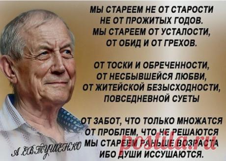 Золотые слова!!!