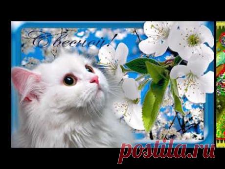 Весна пришла ! - YouTube