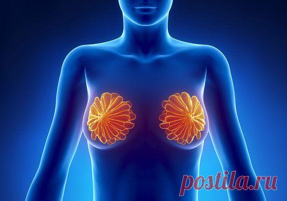 Естественное увеличение груди, миф или реальность | Fusion of Styles