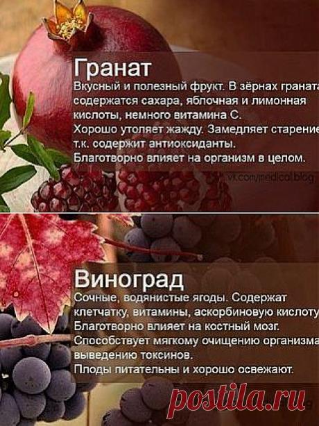 Секреты здоровья