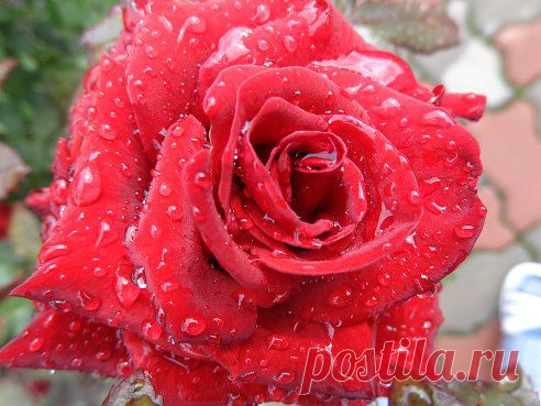 Галина Алябушева отмечена ஐЛюбашей♌✽ ✾ просто ✿ ❀☼ Любашейஐ в альбоме Мне..по..ДУШЕ..