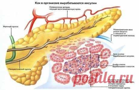 (32) Одноклассники