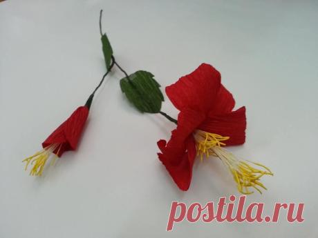 DIY Paper Flower Hibiscus - Createsie