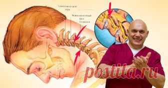 Важно знать! Бубновский: «Если настигла боль в шее, умоляю, сделай вот что…» — Копилочка полезных советов