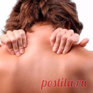 200 кг наглости... - МирТесен