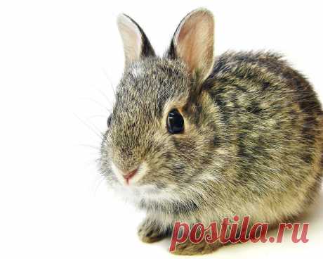 Мой Мир@Mail.Ru