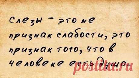 сообщение Donnarossa : Слёзы это не признак слабости... (00:29 03-12-2014) [3094518/345341096] - natal_mih@list.ru - Почта Mail.Ru
