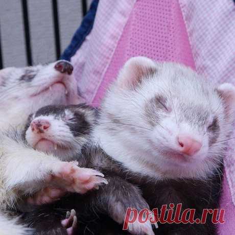 Новости