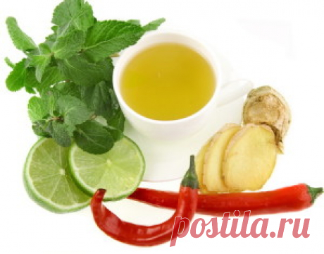 Имбирный чай для похудения: 10 рецептов на любой вкус
