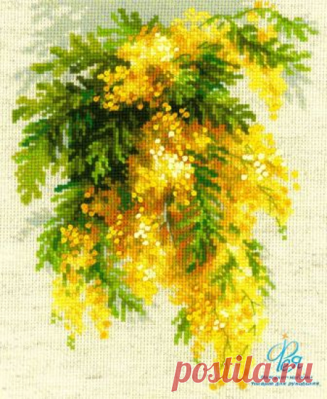 Набор вышивки Риолис 1615 - Мимоза. Ожидание. Купить набор для вышивания частичной зашивкой крестом Риолис 1615 в интернет-маг