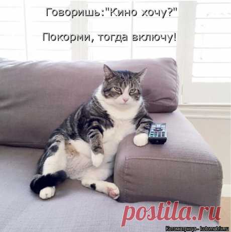 Котоматрица: Круть
