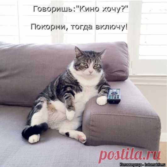 Котоматрица: Круть