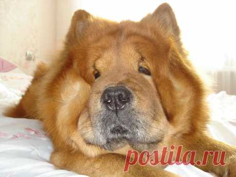 (75) Одноклассники