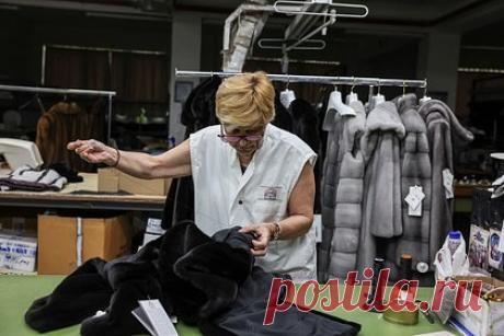 Производители шуб в России столкнулись с нехваткой зарубежного меха норки. Российские производители и продавцы шуб столкнулись с нехваткой зарубежного меха норки из-за антироссийских санкций Запада и массового истребления животных в Дании, сообщили эксперты РБК. Дефицит сырья привел к росту стоимости материала и к сокращению ассортимента шуб в 30 процентах магазинов.