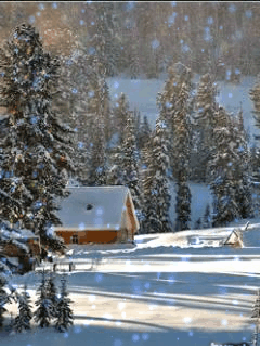 1098310.gif (240×320)