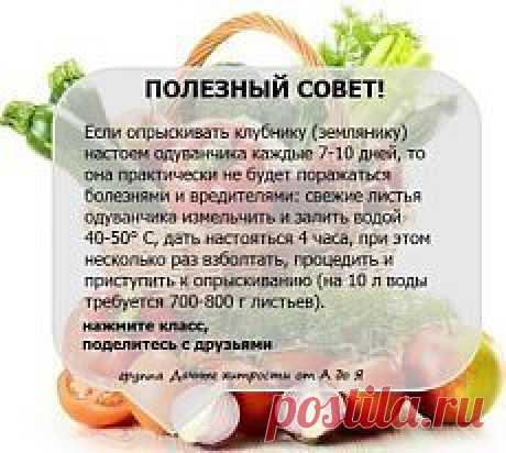 Очень РЕДКО встречаешь такие СОВЕТЫ.