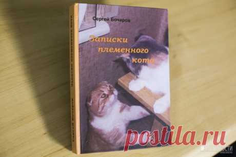 Новосибирец написал книгу в память об умершем от рака коте