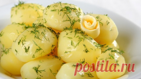 Чем отличаются розовый и белый картофель: что подойдет для жарки, а что - для пюре - Дачный участок - медиаплатформа МирТесен