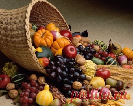 Благодарите продукты за то, что они вас питают, любят вас
