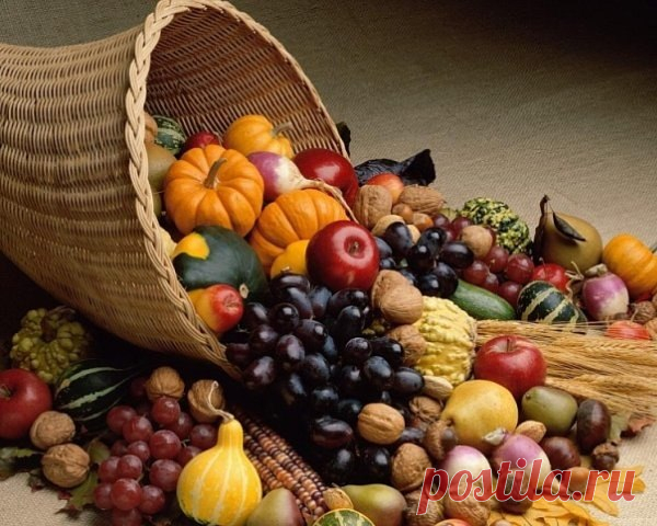 Благодарите продукты за то, что они вас питают, любят вас