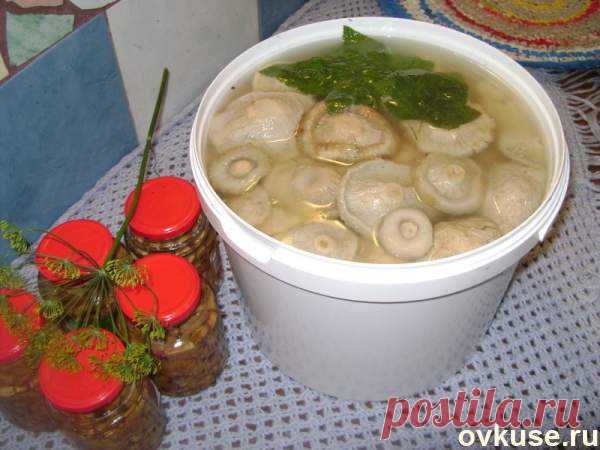 8 рецептов-засолки груздей - Простые рецепты Овкусе.ру