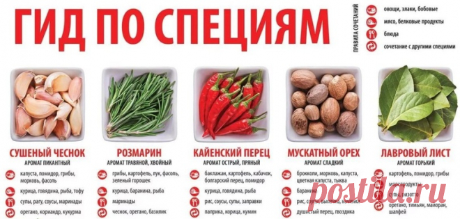 гид по специям - Поиск в Google