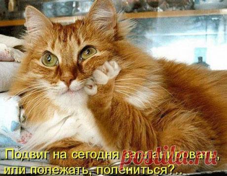 Интересные новости