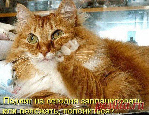 Интересные новости