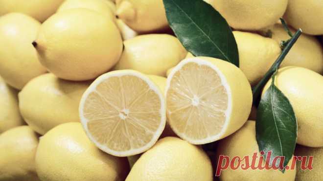 Какими свойствами обладает лимон? Лимон богат витаминами и микроэлементами. Масло, добываемое из него, используется при простуде, расстройствах пищеварения, респираторных инфекциях и угревой сыпи. Оно также обладает антиоксидантным и…